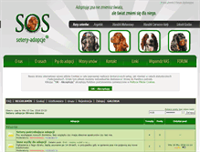 Tablet Screenshot of forum.setery-adopcje.com